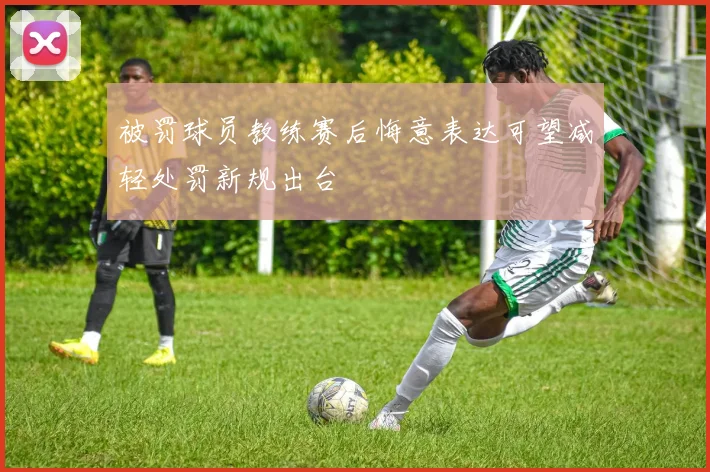 被罚球员教练赛后悔意表达可望减轻处罚新规出台