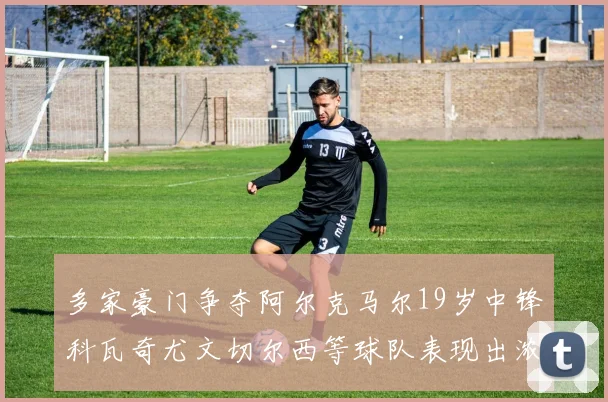 多家豪门争夺阿尔克马尔19岁中锋科瓦奇尤文切尔西等球队表现出浓厚兴趣