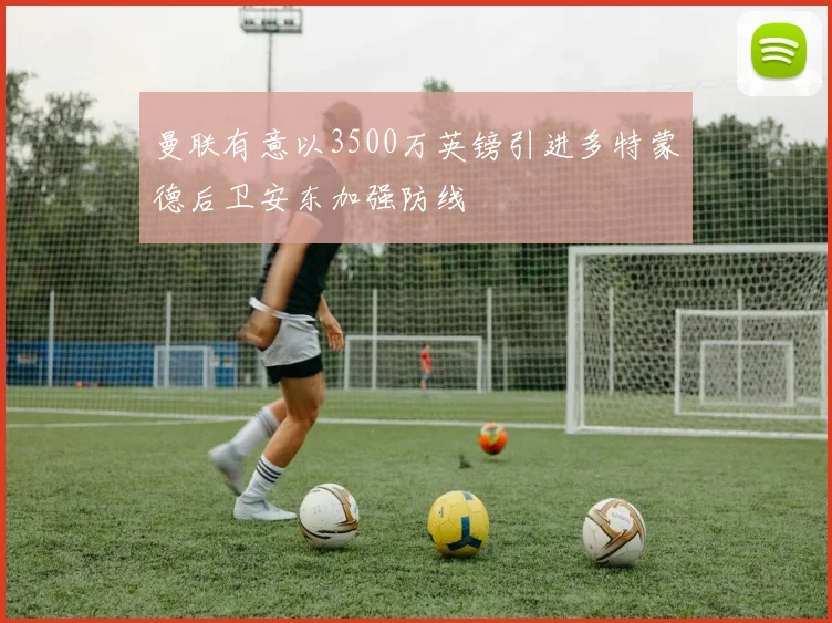 曼联有意以3500万英镑引进多特蒙德后卫安东加强防线